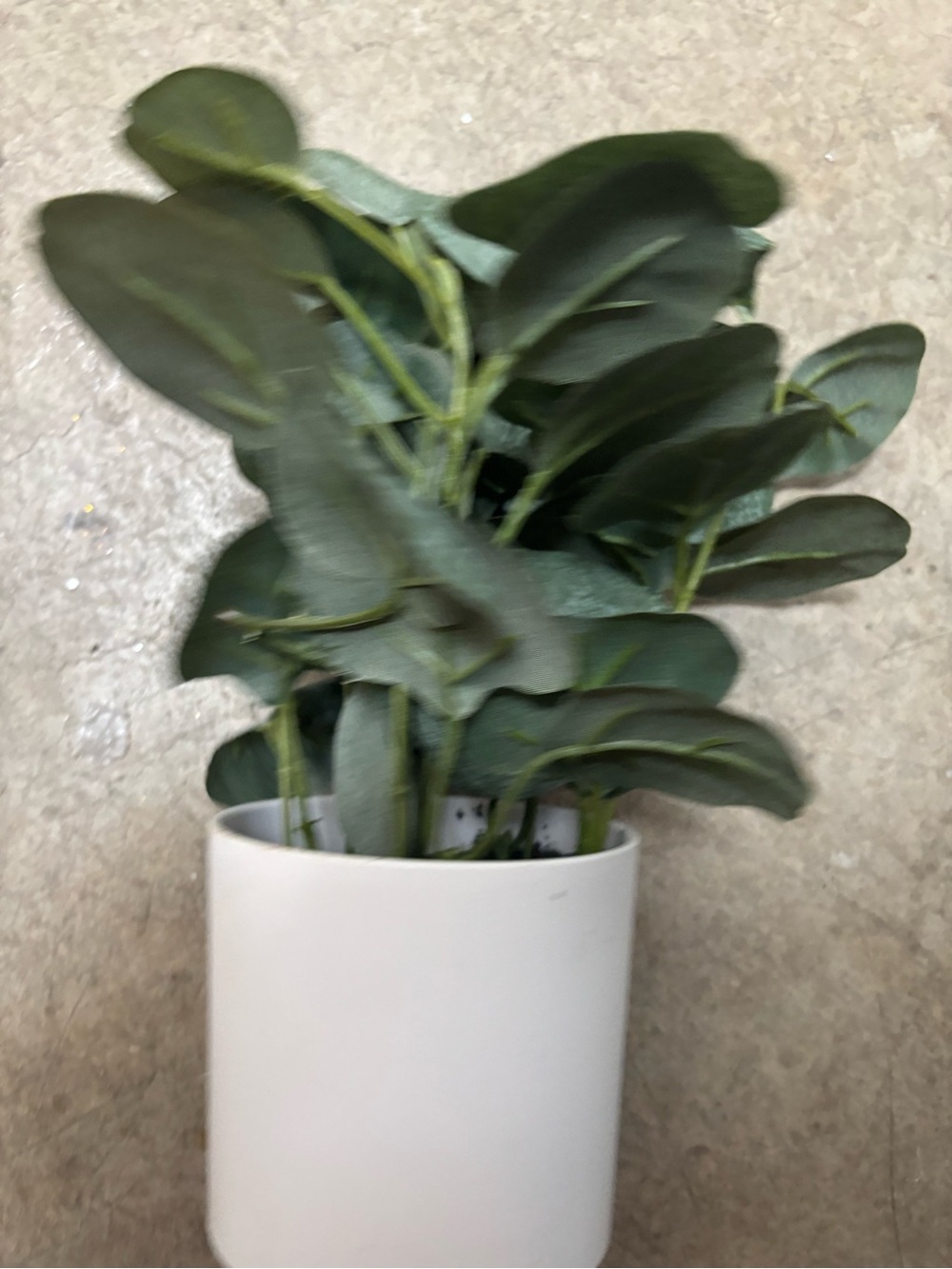 Faux Eucalyptus Plant in White Ceramic Pot — Green Artificial Foliage